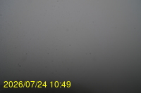 Img20260724_104951.jpg