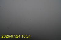 Img20260724_105451.jpg