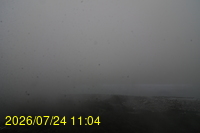 Img20260724_110451.jpg
