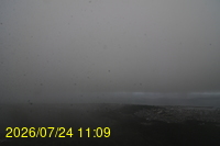 Img20260724_110951.jpg
