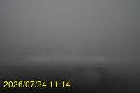 Img20260724_111451.jpg