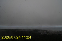Img20260724_112451.jpg