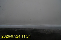Img20260724_113451.jpg