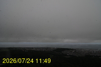 Img20260724_114951.jpg