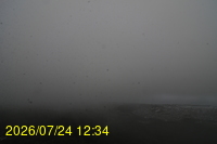 Img20260724_123451.jpg