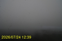 Img20260724_123951.jpg