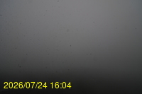 Img20260724_160452.jpg