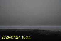 Img20260724_164452.jpg