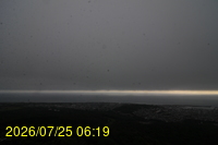 Img20260725_061955.jpg