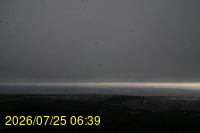 Img20260725_063955.jpg