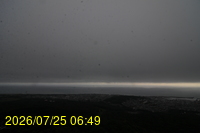Img20260725_064955.jpg