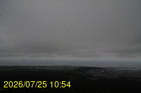 Img20260725_105456.jpg