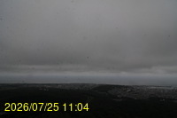Img20260725_110456.jpg