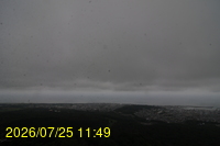 Img20260725_114956.jpg