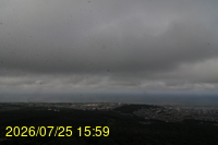 Img20260725_155957.jpg