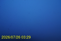 Img20260726_032959.jpg