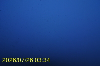 Img20260726_033459.jpg