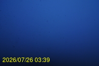 Img20260726_033959.jpg