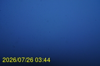 Img20260726_034459.jpg