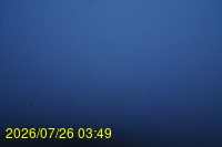 Img20260726_034959.jpg