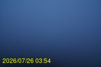 Img20260726_035459.jpg