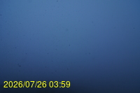 Img20260726_035959.jpg