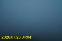 Img20260726_040459.jpg