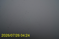 Img20260726_042459.jpg