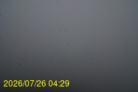 Img20260726_042959.jpg