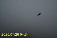 Img20260726_043459.jpg