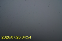 Img20260726_045459.jpg