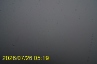 Img20260726_051959.jpg