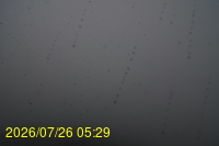 Img20260726_052959.jpg