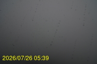 Img20260726_053959.jpg
