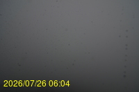 Img20260726_060459.jpg