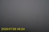 Img20260726_062459.jpg
