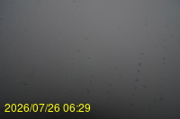 Img20260726_062959.jpg
