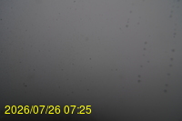 Img20260726_072500.jpg
