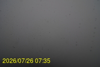 Img20260726_073500.jpg