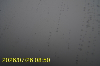 Img20260726_085000.jpg