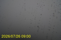Img20260726_090000.jpg