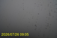 Img20260726_090500.jpg