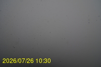 Img20260726_103000.jpg