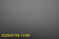 Img20260726_105000.jpg