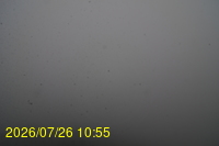 Img20260726_105500.jpg