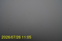Img20260726_110500.jpg