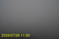 Img20260726_113000.jpg