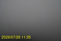 Img20260726_113501.jpg