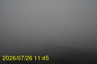 Img20260726_114501.jpg
