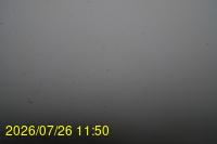 Img20260726_115001.jpg